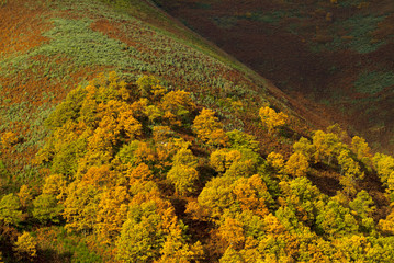 Autumn landscape
