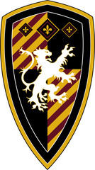 Medieval Knights Shield
