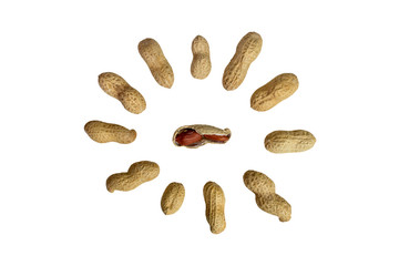 peanuts isolated on white background.  composition of peanuts.