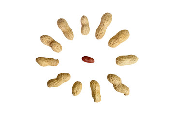 peanuts isolated on white background.  composition of peanuts.