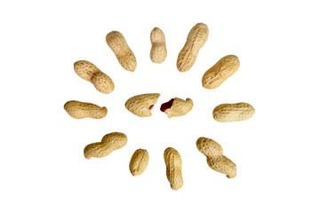 peanuts isolated on white background.  composition of peanuts.