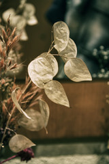 Ramo de flores secas decorativo como estilo retro dentro del hogar 