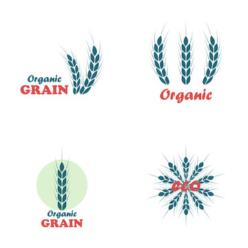 Ears of wheat set labels, badges and design elements