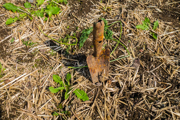 Spaten in Gartenbeet