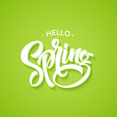 Hello Spring phrase lettering. Hand drawn calligraphy. Vector illustration