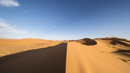 Fototapeta na wymiar Dunes of the Sahara Desert