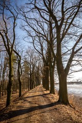Early spring scene of path on dam of the fishpond