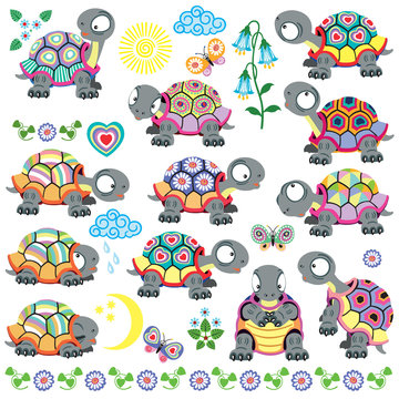 cartoon set of decorative tortoise for babies and little kids . Vector isolated on white