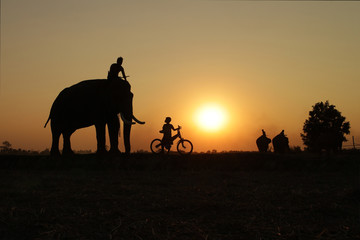 Thai people father and son with elephant silhouette sunset