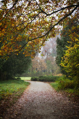 Autumn in park Aleksandriya
