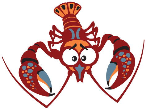 cartoon crayfish lobster isolated on white