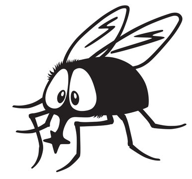 cartoon fly insect black and white