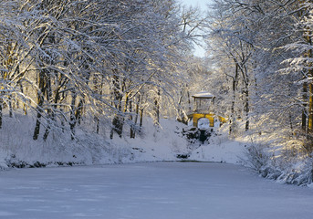 It's snowing in the Alexandria Park. Bila Tserkva.