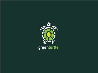 Fototapeta premium zielony żółw