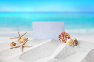 Shells on sandy beach, Summer concept