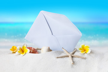 Shells on sandy beach, Summer concept