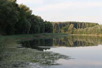 Fototapeta na wymiar Donauauen