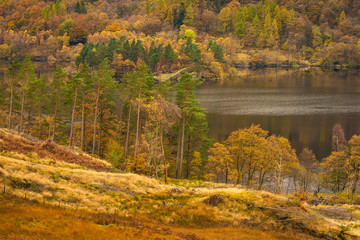 Autumn view on Thirlmere Lake, English Lake District National Park, Cumbria, UK