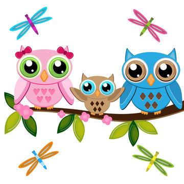 two owls with baby on a branch with dragonflies