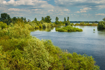 Fototapeta na wymiar Warta River, Greater Poland region. Poland. 