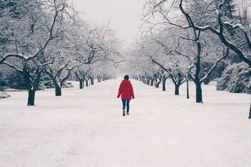 Woman walking in a snow storm 