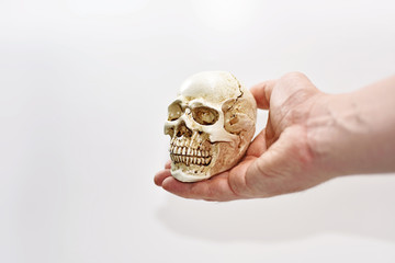 Small decorative human skull.