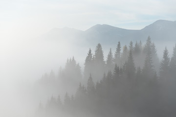 Landscape with fog in mountains