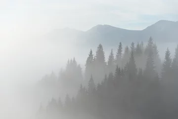 Fotobehang Landscape with fog in mountains © Oleksandr Kotenko