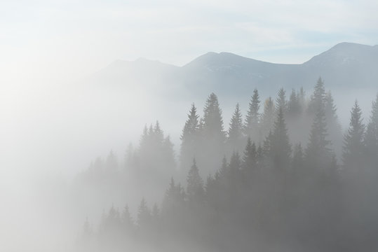Fototapeta Landscape with fog in mountains