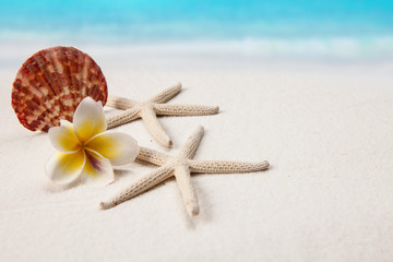 Fototapeta na wymiar Pagoda and shells on sandy beach, Summer concept