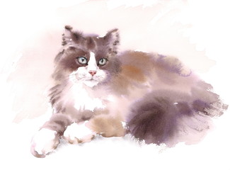Watercolor Cat Laying Down Hand Drawn Pet Portrait Illustration - 138116641