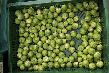 Rosenkohl