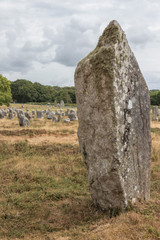 Carnac Stone Fields