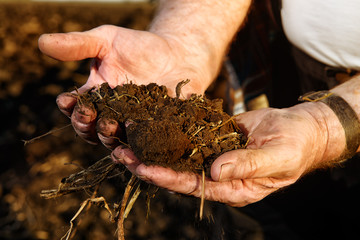 agriculture concept