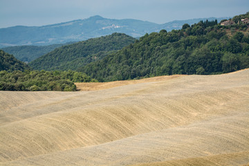 Typical landscape in Tuscany, farmhouse on the hills of Val d'Orcia - Italy