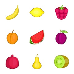 Fruit icons set, cartoon style