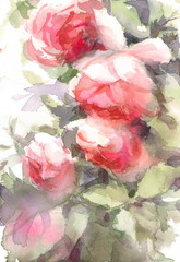 Watercolor English Garden Roses Flowers Floral Background Texture Hand Painted Illustration