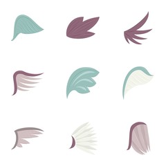 Different wing design icons set, cartoon style