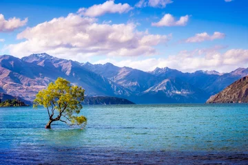 Fleecedeken met foto Landscape view of That Wanaka Tree, New Zealand © Martin M303