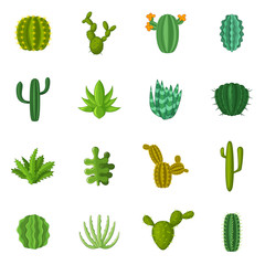 Green cactuses icons set, cartoon style