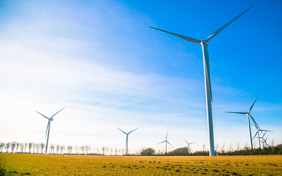 wind turbine on flied