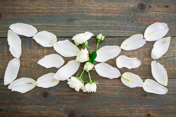 Floral pattern with roses and tulip petals isolated on wood background. Flat lay, top view. Floral background