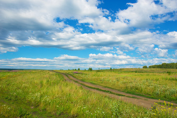 Fototapeta na wymiar green field path and cloudy sky