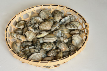 あさり　白背景


