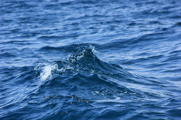 waves at sea