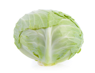 Fototapeta premium cabbage on white background