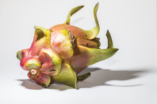 Drachenfrucht vor wei&szlig;em Hintergrund