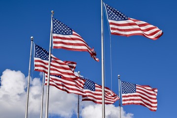 American Flags Flying against Blue Sky Backdrop