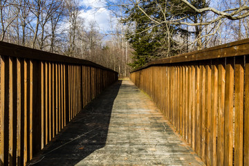 Obraz premium bridge