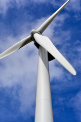 Wind turbines generating clean renewable energy in ND.